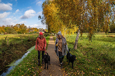 Zwei Spaziergängerinnen mit Hund