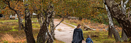 Eine Frau läuft gemeinsam mit einem Kleinkind über einen Weg. Dieser ist umgeben von Wiesen und herbstlichen Bäumen. - zum Artikel 'Schleswig-Holstein-Tourismus entwickelt sich weiterhin positiv. '