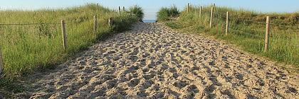 Sandweg führt durch Zäune zum Strand, im Hintergrund sieht man das Meer am Strandzugang in Dahme.  - zum Artikel 'Schleswig-Holstein-Tourismus startet gut ins neue Jahr – Bilanz für das erste Quartal 2023 liegt vor'